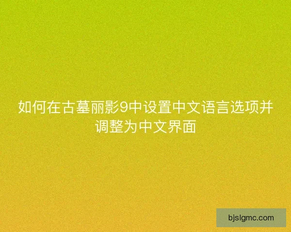 如何在古墓丽影9中设置中文语言选项并调整为中文界面
