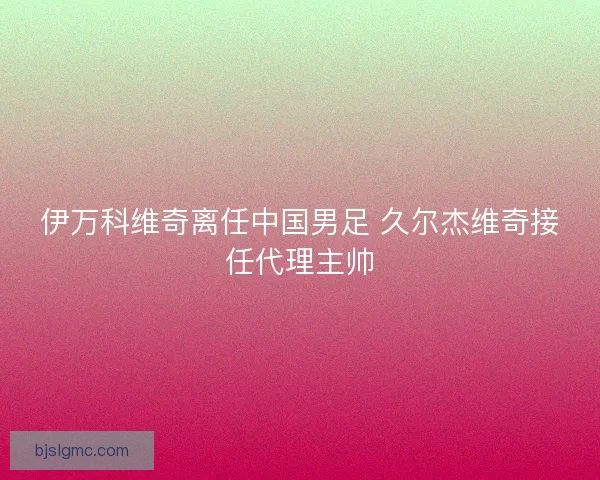 伊万科维奇离任中国男足 久尔杰维奇接任代理主帅